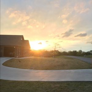 Meet your Posher, Ginger